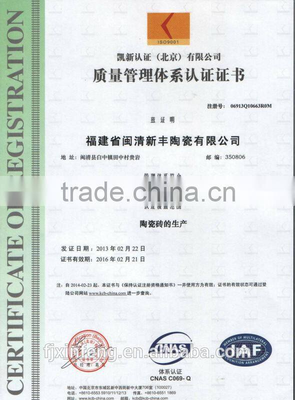 NEW!!!! DIE 3D inkjet ceramic wall tile