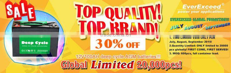 EverExceed deep cycle AGM sealed battery