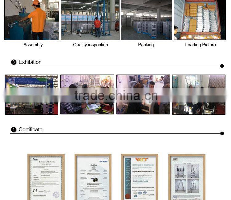 Little Giant agility ladder