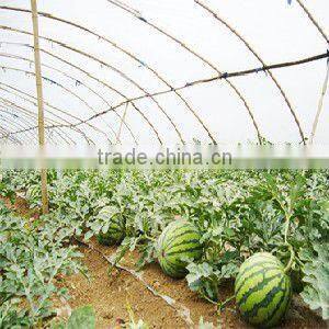 LDPE uv- protection plastic greenhouse films
