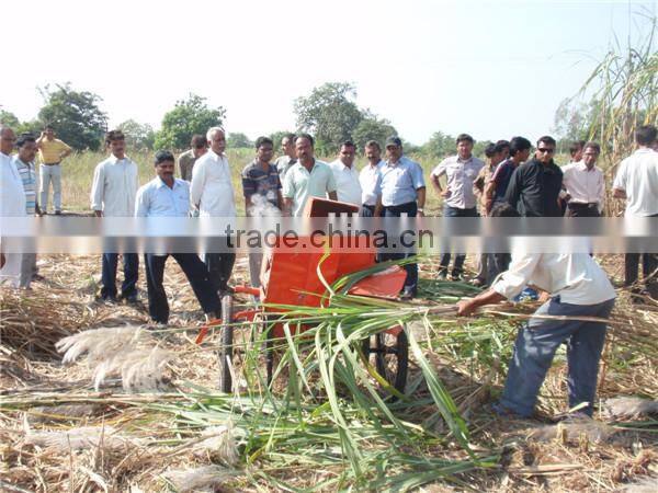 Farm small machinery leaf cutter mini sugarcane leaf remove 6BZ-5 new sugarcane leaf removing machine