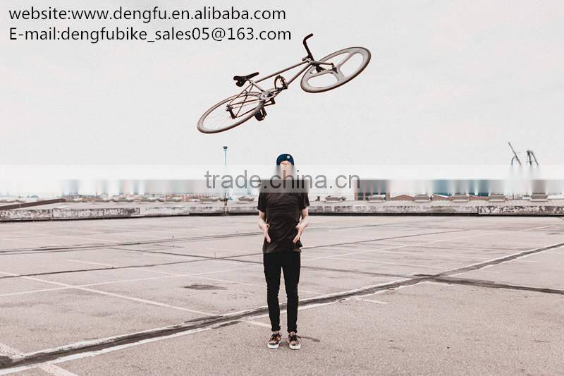 Free Shipping Hotsale Dengfu Carbon Frame DI2 FM098