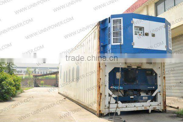 hot sale 30kva freezer container generator