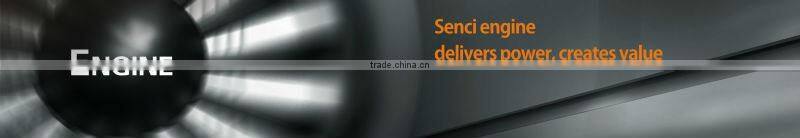 SC5000-I 60Hz 4.5KW 220V portable Gasoline Generator