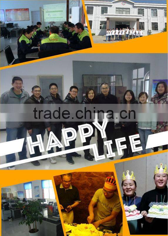 Manual Heavy Duty Type 6" Cast Bench Vise Swicel with Anvil