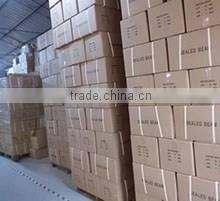 PAR56 651 Train light