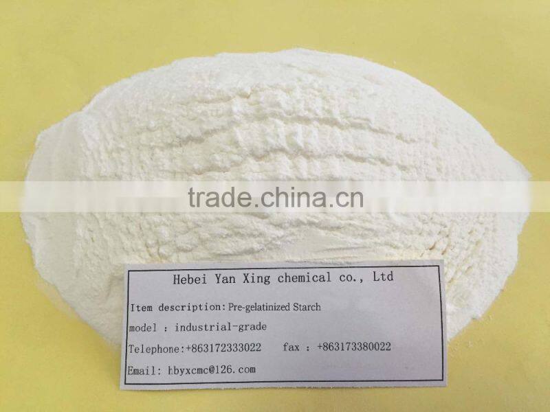 Great sales white powder pre-gelatinized starch