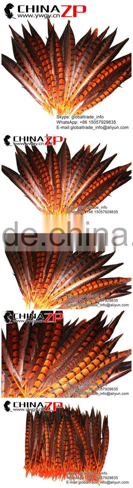 CHINAZP Factory Exporting Wholesale High Quality Dyed Orange Lady Amherst Pheasant Tail Feathers for DIY Decorations