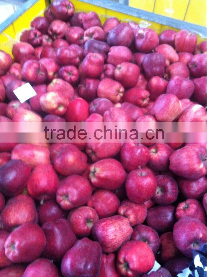chinese red fuji apple suitable for long time shipment