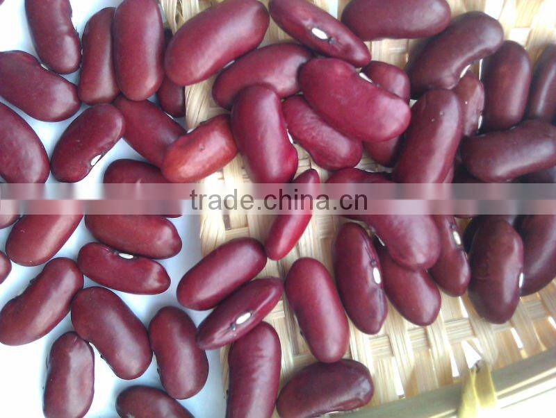Organic Red Kidney Bean( British type, heilongjiang origin.hps)