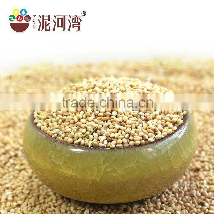 White Broomcore Millet with reasonable price 2016 crop