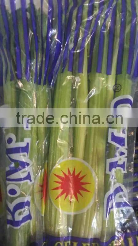Fresh celery for sale good quality