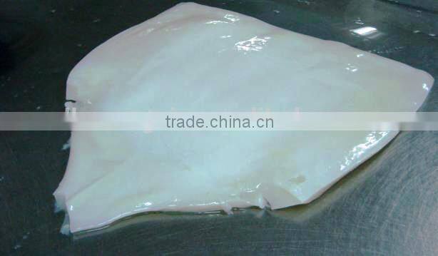 frozen squid fillet