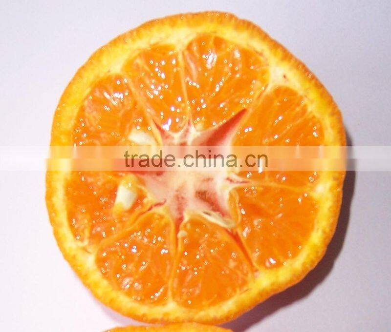 Fresh Mandarin Orange with Factory Wholesales Price