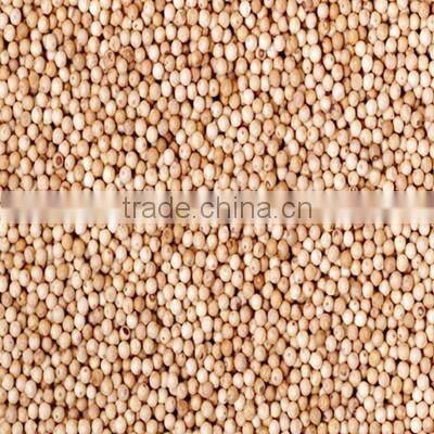 Best Quality Biele Korenie