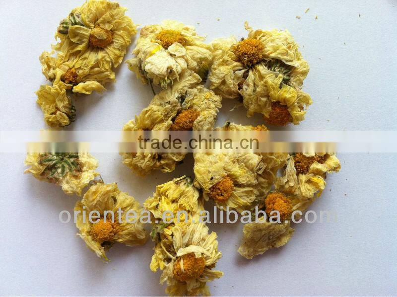 hangzhou white chrysanthemum