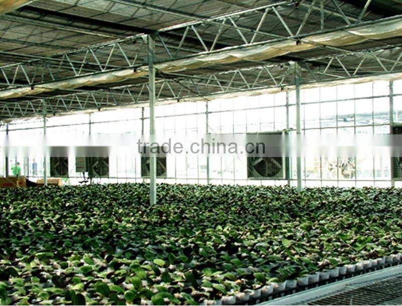 Greenhouse cooling system agricultural ventilation big exhaust fan