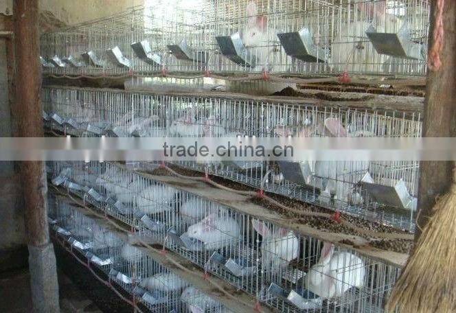 Animal Farm, Poultry Equipment