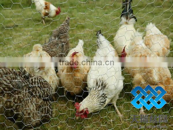 chicken wire mesh/hexagonal wire netting/hexagonal wire mesh
