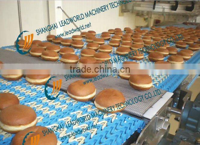 Lifting Chain Conveyor System