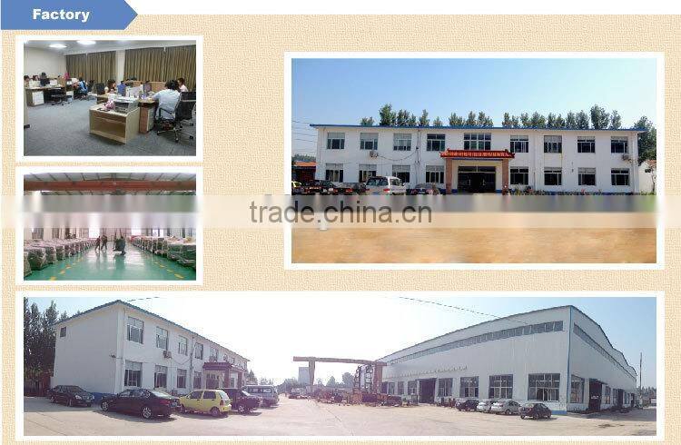 China Brand New Several Models Diesel Generator Set