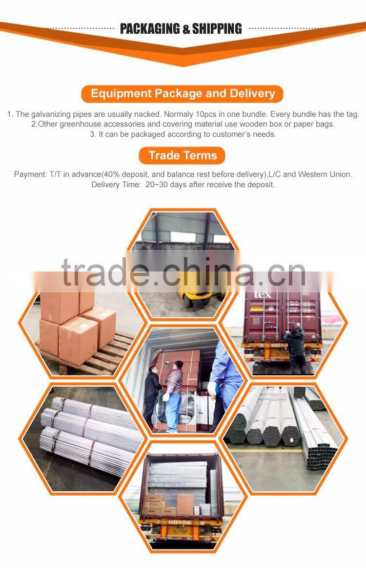 China supplier multi-span plastic film agricultural greenhouse for sale