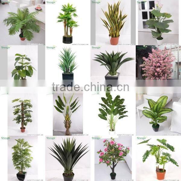 SJ12001162 Name potted decorative foliage plant plastic plant indoor