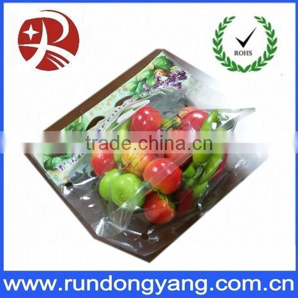Customized plastic stand up pouch slider zip lock fruit packaging bag