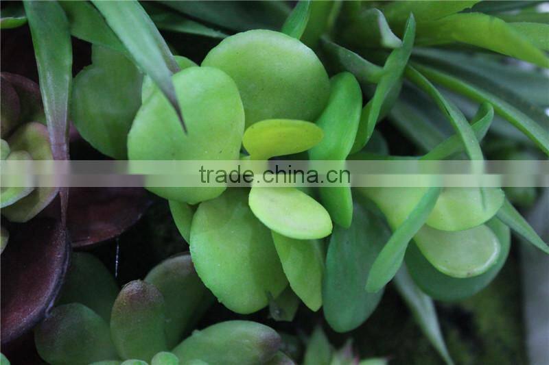 for home garden tiles deco 30*30*7cm paint color indoor artificial succlent boutique plant wall laminate combinations Ejq10 1202