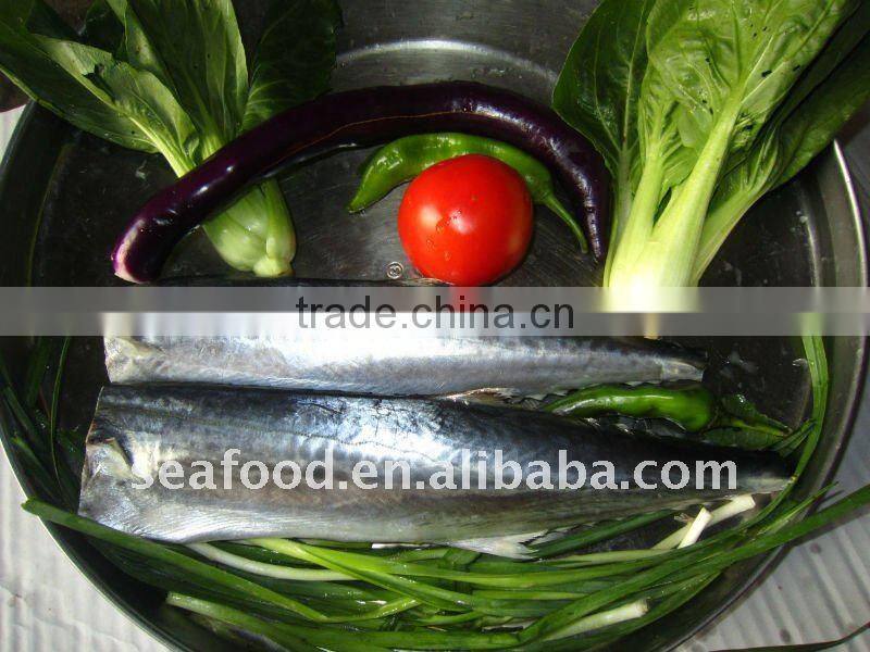 IQF spanish mackerel fillets A,B grade
