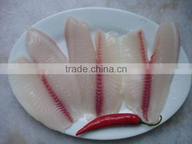Frozen Tilapia Fillet From Zhejiang of China