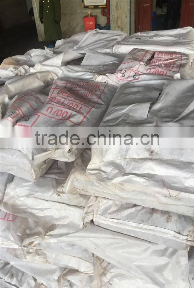 BQF illex argentina/argentinus squid WR