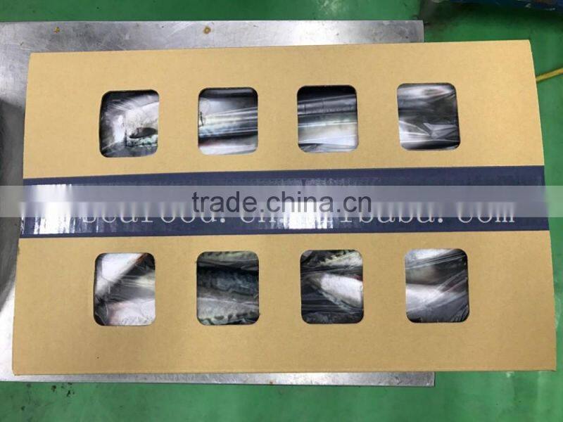 Frozen W/R Japan Mackerel