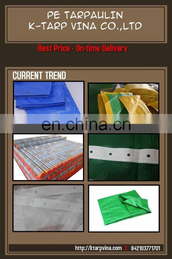 Korea Scaffolding PE Tarpaulin Sheet