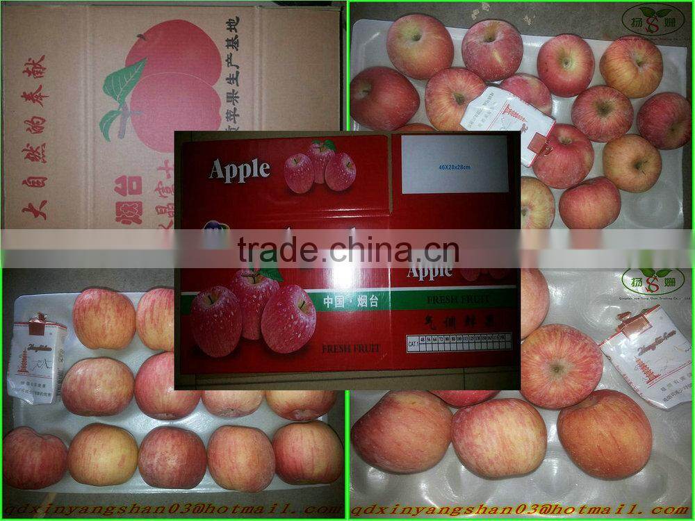 2014 fresh fruit fuji apple wholesale for dubai (In the preferential...)