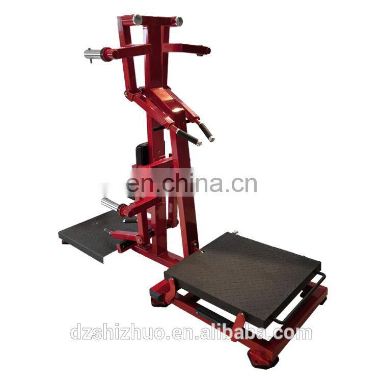Dezhou Shizhuo 2019 new arrival high quality Lateral Raise machine commercial gym fitness equipment RHS53