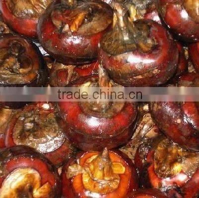 Canned water chestnut whole