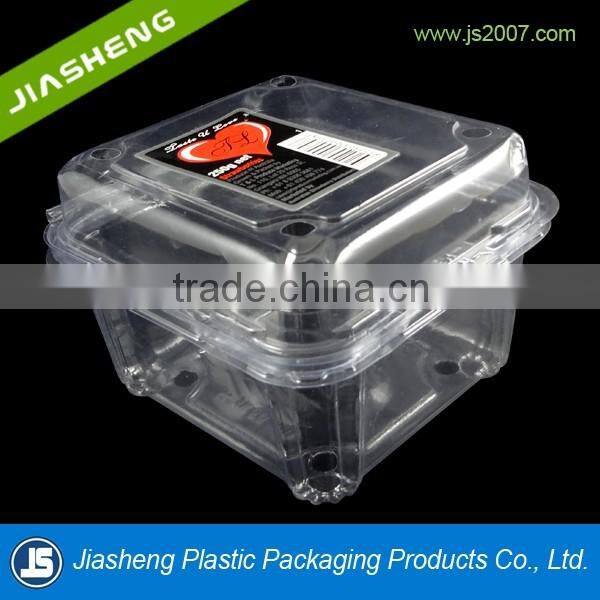 Dongguan PET Clear plastic clamshell food containers/fruit container