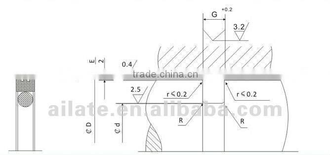 PTFE rotary seals (BNS)