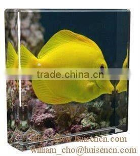 Acrylic logo block for franchise advertisement