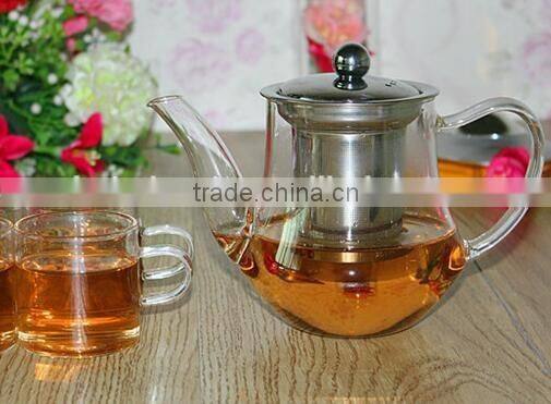 Handblown Borosilicate Glass Teapot with SS filter for coffee