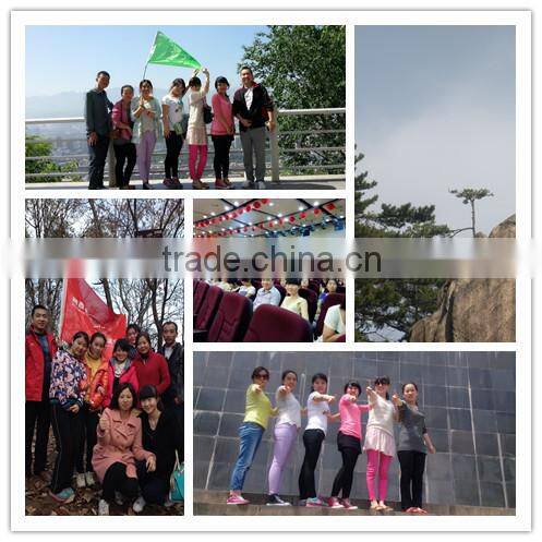 wholesale Variator Assembly for Chinese GY6 Engine gy6 150cc speed variator china motorcycle spare parts