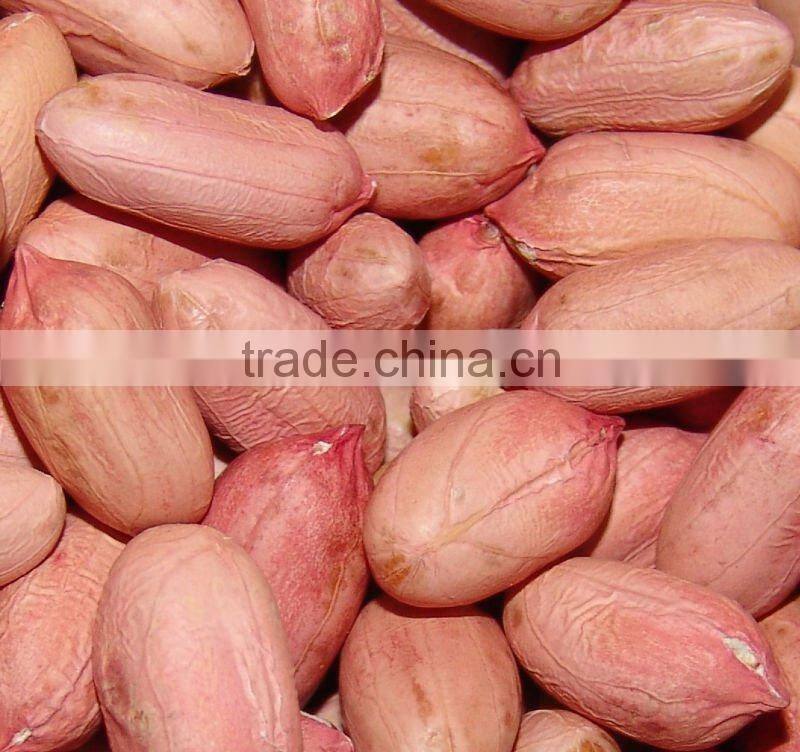 chinese peanut kernels 24/28 28/32 50/60 60/70