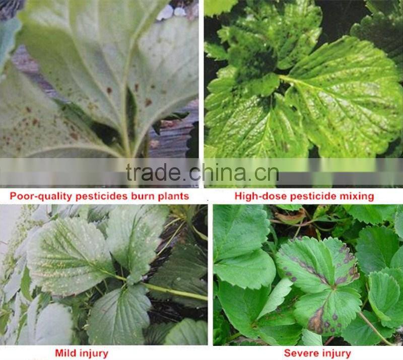 Huminrich 100% Water Soluble Organic Potassium Humate Best Fertilizer For Strawberry