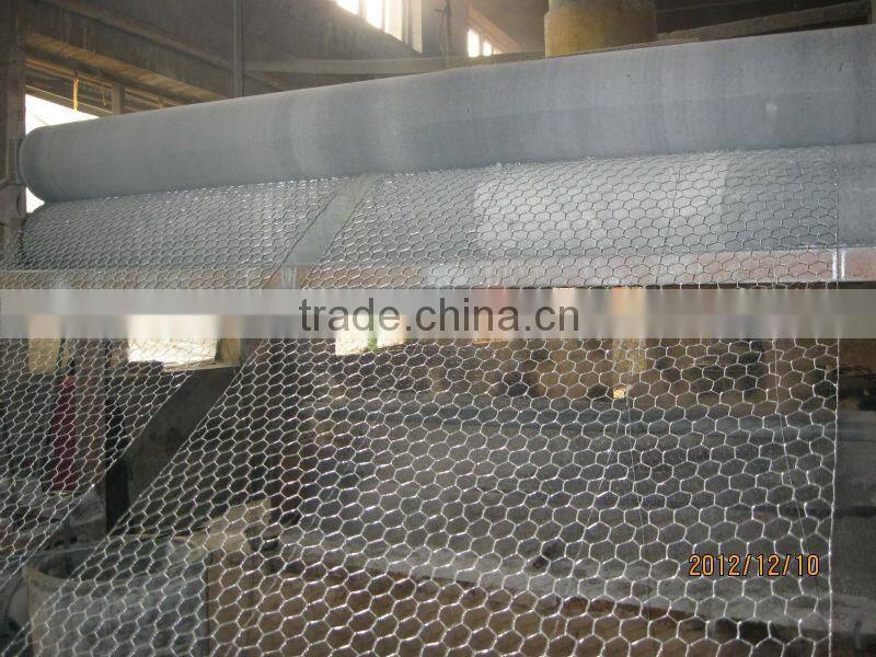 chicken coop hexagonal wire nettings fencing