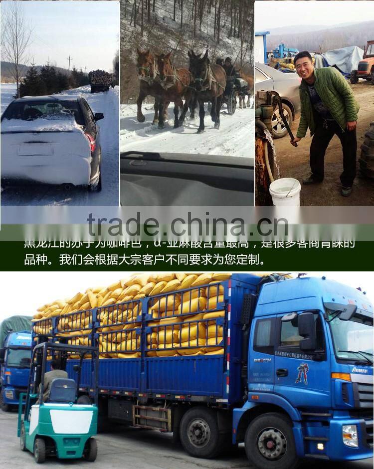 Brown Perilla Seeds for oil/china periiia oil