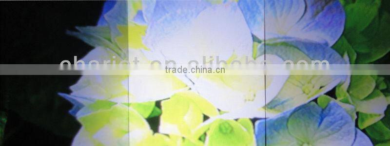 Holographic rear projection screen film 1.51mx30m paste on the window (Hot sales!)