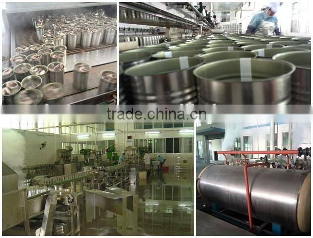 spain 155g canned mackerel fish in tomato sauce(ZNMT0069)