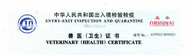 pink turkey feather boa