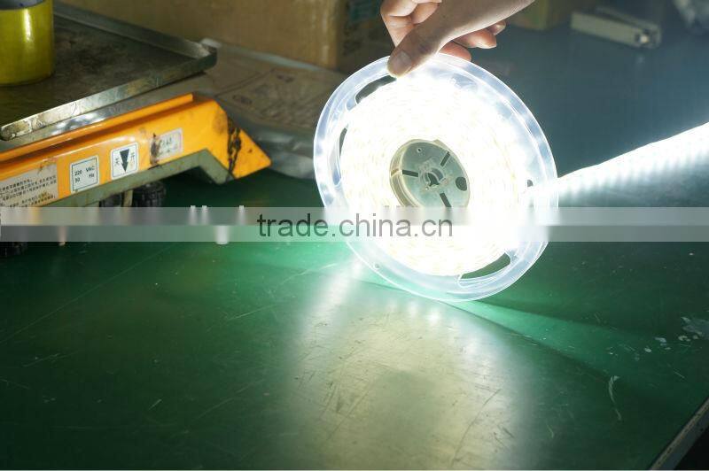 LED Flexible Strip Light Dream Color from China Manufacturer
